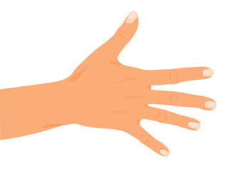 Open Hand gestures, human palms, and wrist