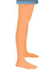 human legs profile, Vector illustration for advertising, medical (health care) publications, animation