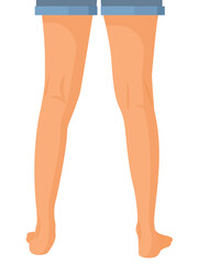 human legs, Feet Vector illustration for advertising, medical (health care) publications, animation