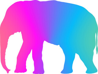 Ilustration art of elephant, multicolor gradient