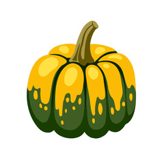 Hand drawn ornamental decorative spotted gourd. Squash, pumpkin vegetable for thanksgiving and halloween. Vector isolated flat cartoon illustration.