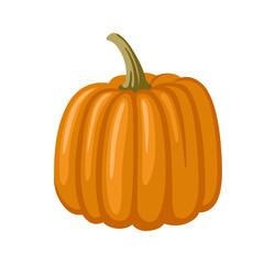 Decorative fairytale orange pumpkin isolated on white background. Squash, gourd vegetable. Hand drawn cartoon vector illustration.