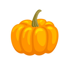 Decorative orange cinderella pumpkin isolated on white background. Squash, gourd vegetable. Hand drawn cartoon vector illustration.