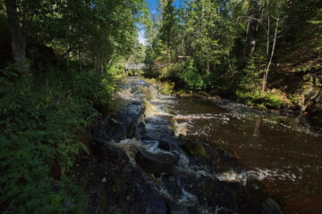 Naklejka na ściany i meble Rapids on a mountain river in the Karelian forest