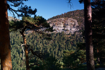 góry widok krajobraz drzewa natura lato - obrazy, fototapety, plakaty