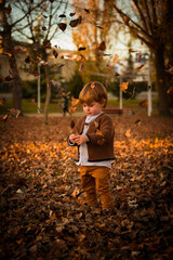 Boy in a park in autumn playing with fallen leaves