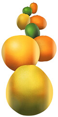 Eight popular citrus fruits are pictured in a 3D illustration. These include: pomelo, grapefruit, orange, lime, lemon, tangerine, key lime and kumquat.