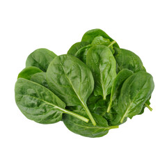 Spinach leaves isolated on white background, healthy food