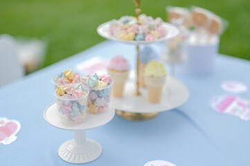 Decoration for kids birthday party at outdoor yard in the afternoon daylight. Bright color, blue and pink theme. Candy, Cake, Cookies, Doughnut, Macaroon ornament shape made from painted styrofoam. 
