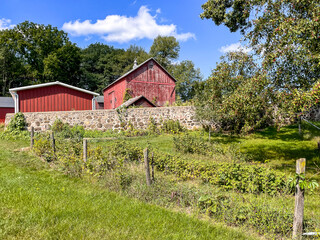 Fototapeta na wymiar A small wood barn with outbuildings and an old stone wall with an apple tree, wood fence posts, and raspberry garden in the foreground and a blue sky with white clouds and trees in the background. 