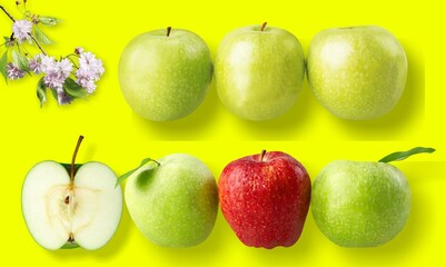 Collections Tasty sweet ripe apple fruits