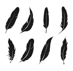 Black feathers icon set isolated on white background