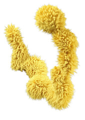 3d rendering fluffy yellow abstract png shape isolated on transparent background. Creative hairy element for collages, art decoration for presentation, social media. Trendy realistic shape.