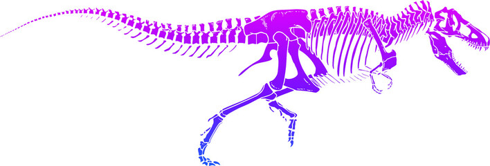 Illustration Art Dinosaur Skeleton  , Multicolor Gradient © HOKOIKO