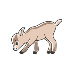 Illustration of cute baby goat cub. Simple vector illustration for emblem, badge, insignia.