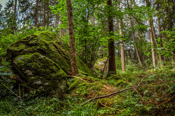 beim Piburger See im Ötztal