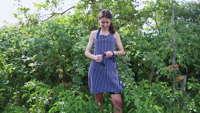 Young beautiful girl puts on an apron and tie behind your back in the garden on a bright summer day. Woman putting on protective clothing for work and harvest outdoors. Tomatoes grow in background