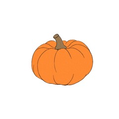 Pumpkin watercolor drawing free hand. Pumpkin for Thanksgiving. Bright pumpkin for Halloween