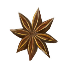 Watercolor star anise. Organic food. Gouache or oil on canvas