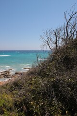 Fototapeta na wymiar Italy, Salento: Mediterranean vegetation in Otranto Beach.