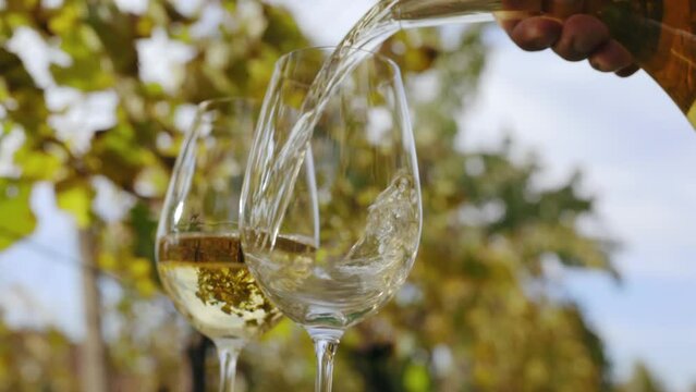 Pouring white wine into a glass on an autumn day in a vineyard, slow motion