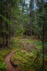beim Piburger See im Ötztal