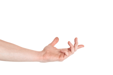 Realistic human hand showing gesture. White skin man arm isolated on transparent background. Relaxed palm ready to hold something