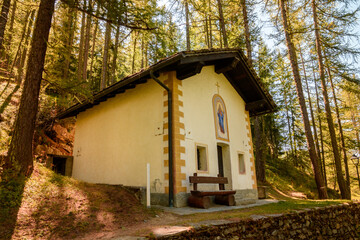 chiesetta di montagna 04 - piccola chiesa all'ombra di grandi pini.