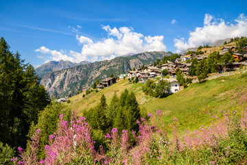 Obraz premium Val d'Aosta 03 - villaggio di montagna con fiori in primo piano.