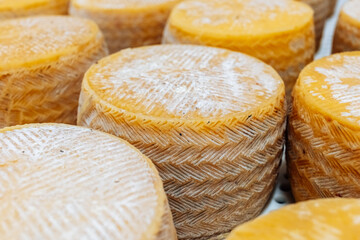yellow cheese heads at the storage during the cheese aging process