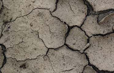 Cracked Ground because of Drought. texture, background.