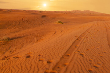 Sand landscape sunset view on desert, Dubai, United Arab Emirates