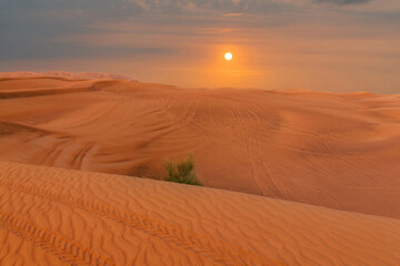 Fototapeta na wymiar Dubai sand desert, United Arab Emirates sunset view