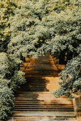 Park w jesiennym klimacie © ukasz