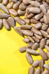 sunflower seed kernel on a yellow background