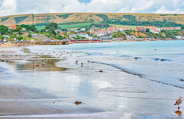 The glistening retreating sea on the seagull bathing beach at Swanage Dorset England on a September...