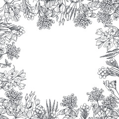 Fototapeta premium Floral background. Sketch illustration.