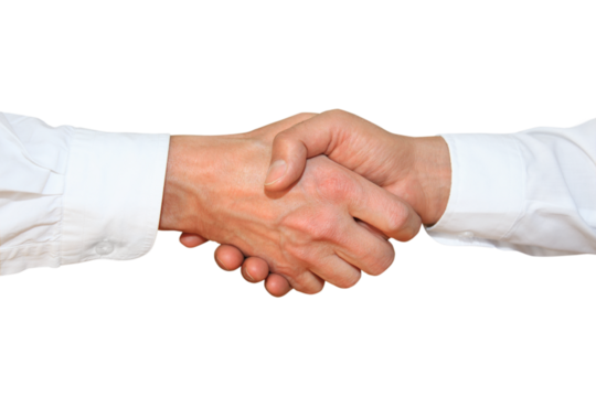 Gesture series: greeting, handshake.