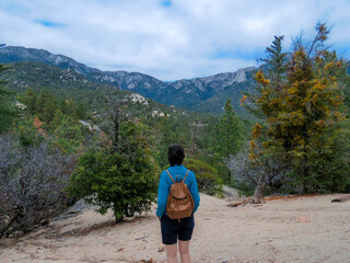 Woman Admiring View of Idyllwild