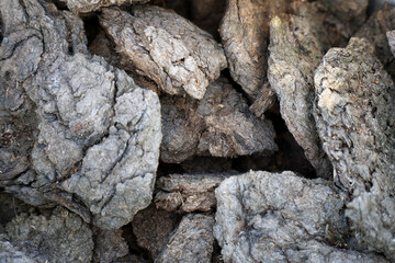 Dry cow manure close-up
