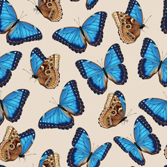 Vector pattern with high detailed tropic butterfly