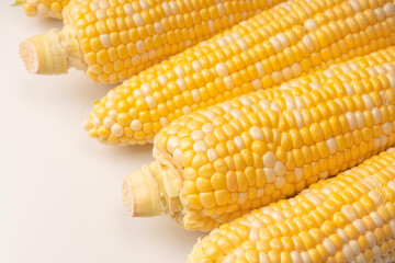 Yellow corn isolated on white background. Copyspace.