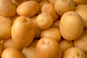 A group of fresh tasty potato as  background.