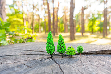Toy forest grows on a tree stump outdoors