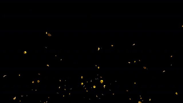 Gold Confetti Blast Explosions with Alpha channel  
