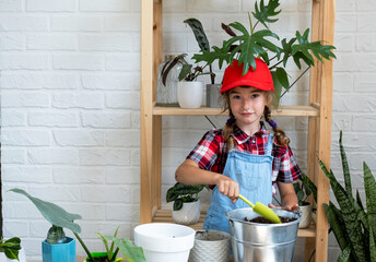 Girl transplants a potted houseplant philodendron into a new soil with drainage. Potted plant care,...