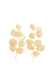 Watercolor eucalyptus branches with golden leaves. Hand drawn isolated illustrations. Ideal for invitation, wedding or poster