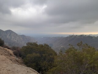 Above The Clouds In The Los Angeles Forest