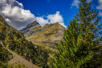 im Sulztal bei Gries