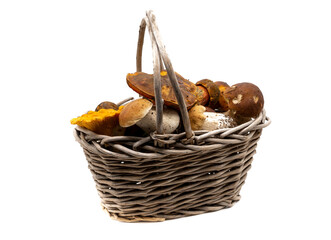 Basket of fresh edible mushrooms isolated